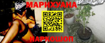 мдпв Бийск