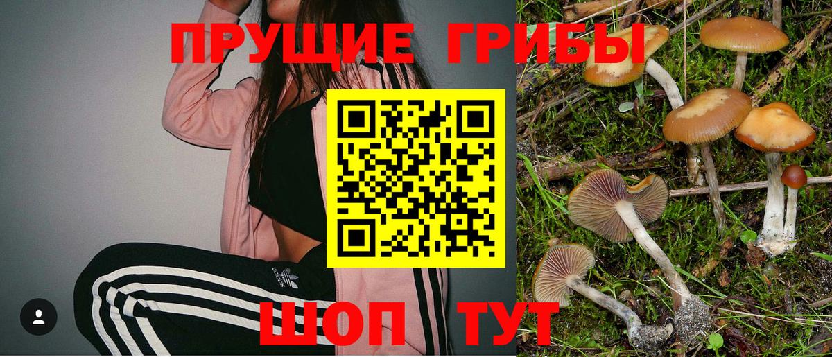 Псилоцибиновые грибы GOLDEN TEACHER Карпинск